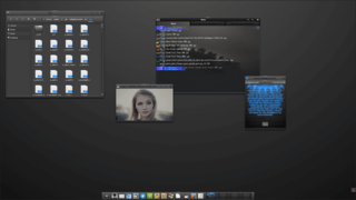 X11 window manager based on EFL