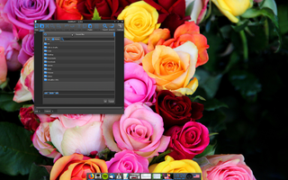 X11 window manager based on EFL