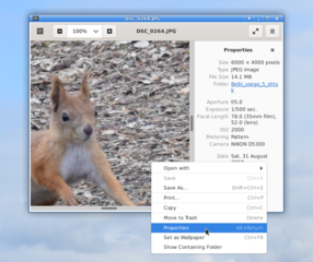 Exif Display plugin for GNOME Image Viewer