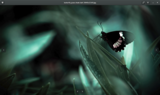 Eye of GNOME graphics viewer program