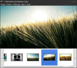 eog with thumbnails