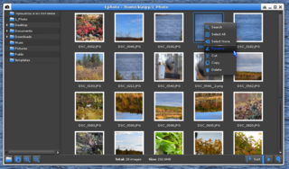 Comprehensive Image Viewer Using EFL