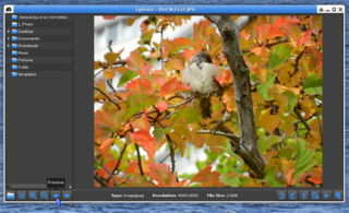 Comprehensive Image Viewer Using EFL