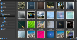 Comprehensive Image Viewer Using EFL