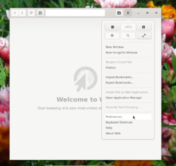 Menu-Preferences