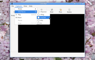 graphical network monitor