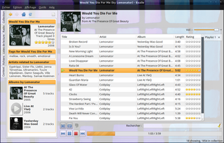 Music player with a simple interface and powerful capabilities