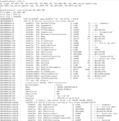 read metadata from digital pictures