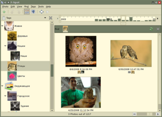 personal photo management application