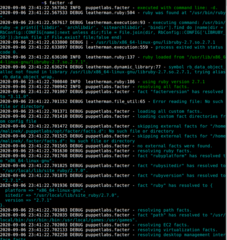 facter -d (Enable debug output)