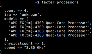 facter processors