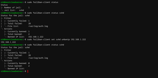 ban hosts that cause multiple authentication errors
