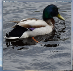 after open of file need press Arrow down 1+1+1+1- Zoom out