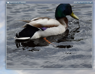 after open of file need press Arrow up 1+1+1+1- Zoom in