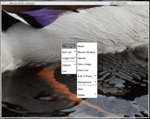 imlib2 based image viewer