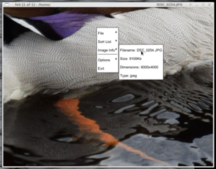 imlib2 based image viewer