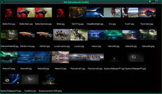 imlib2 based image viewer