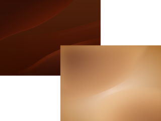 Feisty Wallpapers