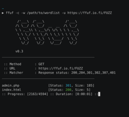 Fast web fuzzer written in Go (program)