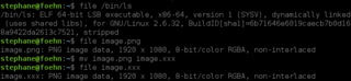Recognize the type of data in a file using "magic" numbers