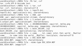 Recognize the type of data in a file using "magic" numbers