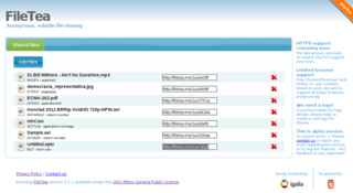 Web-based file sharing system