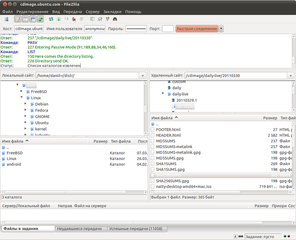 Russian screenshot of FileZilla