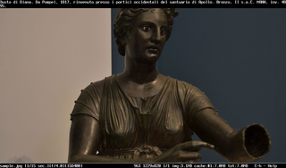 fim in SDL Mode visualizing a photograph, its EXIF info below and a description.
