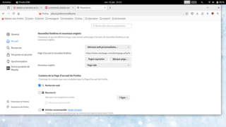 Mozilla Firefox web browser