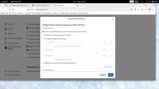 Mozilla Firefox web browser
