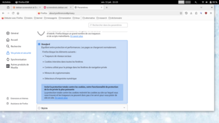 Mozilla Firefox web browser