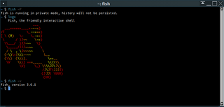 friendly interactive shell