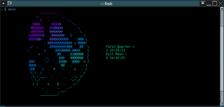 friendly interactive shell