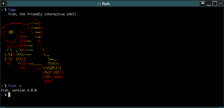 friendly interactive shell