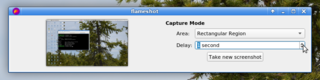 flameshot launcher_3 (Delay - 1 second and others)
