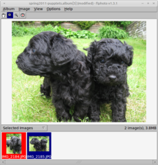 Image manager with great printing functionality