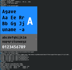 Font downloader/manager