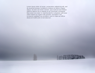 Fullscreen distraction-free writing program