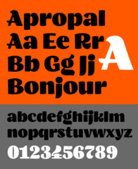Sans-serif font for decorative signs, one of the Warsaw Types