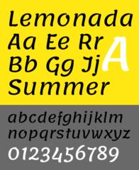 modern Arabic and Latin typeface family