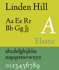 Regular and italic serif font