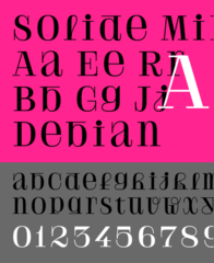 libre experimental didone style typeface