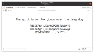 Terminus font