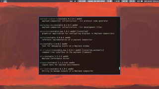 Fast, lightweight and minimalistic Wayland terminal emulator