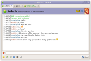 Chat window