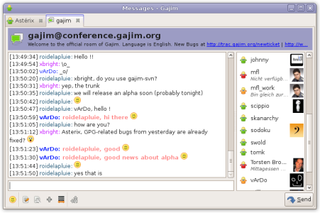 Chat window (room chat)
