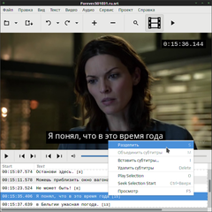 subtitle editor for text-based subtitle files