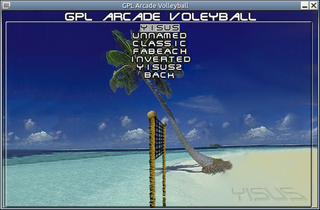 Extra themes for GPL Arcade Volleyball