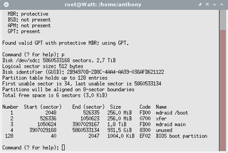 gdisk printing a GPT partition table