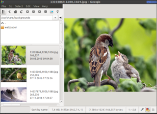 image viewer using GTK+